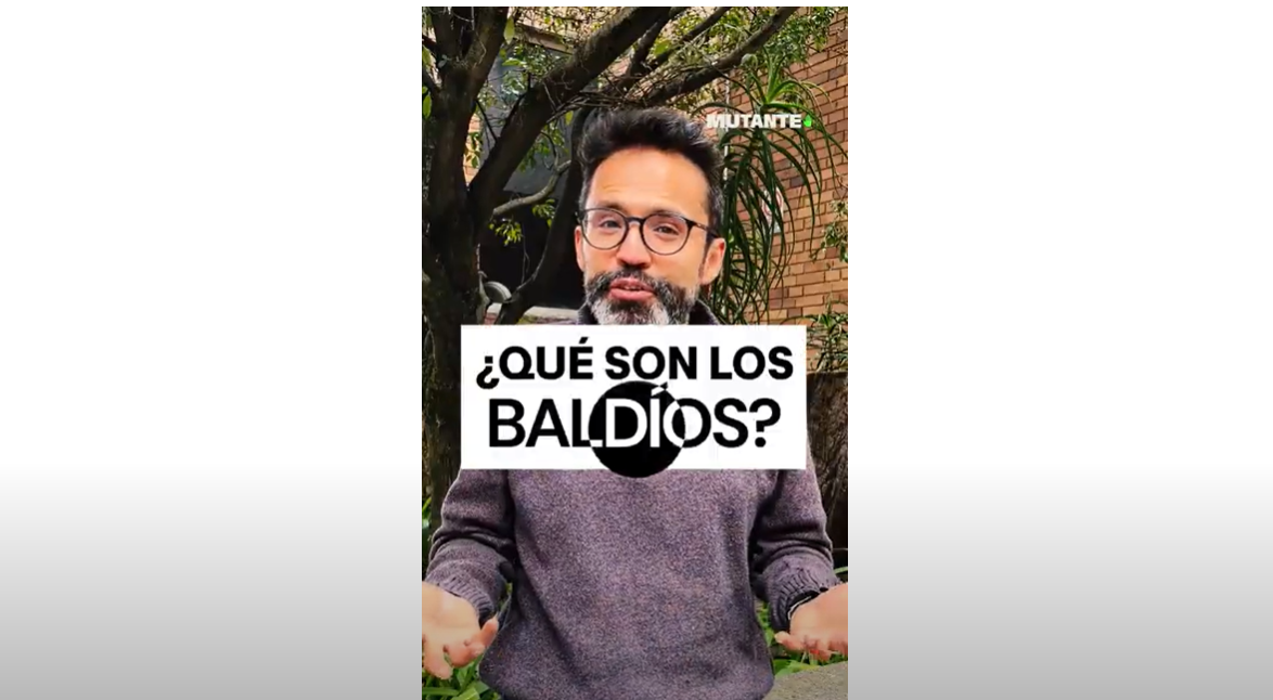 La Historia de los Baldíos en Colombia: Desafíos para la Justicia Agraria Pontificia Universidad Javeriana